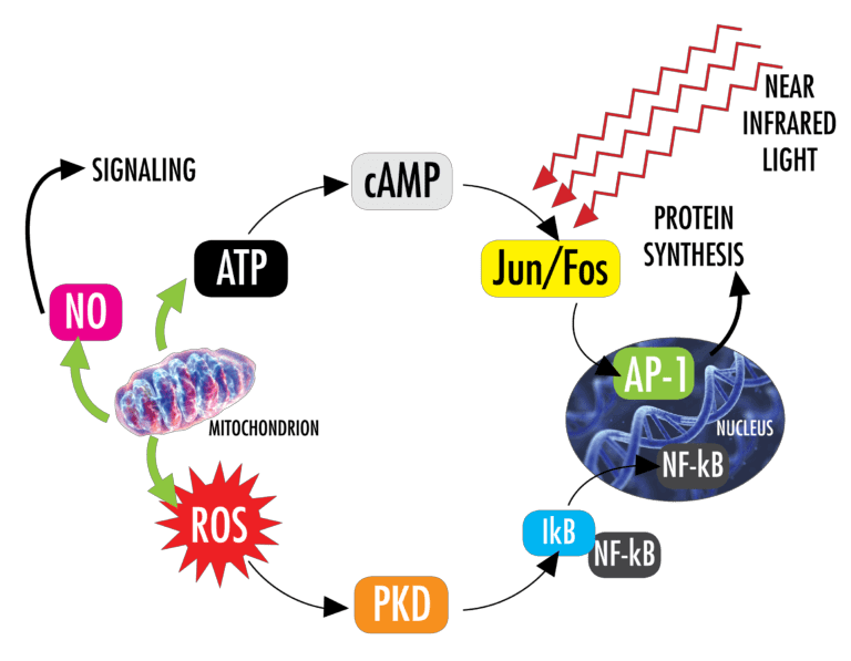 class iv laser therapy